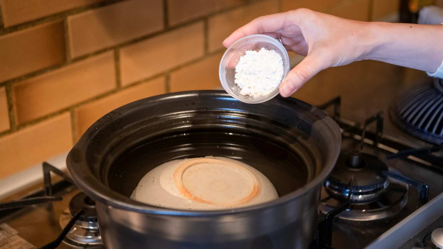 _dsc0315-1648528930620_1800x.webp